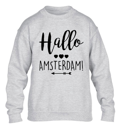 Hallo Amsterdam children's grey sweater 12-13 Years