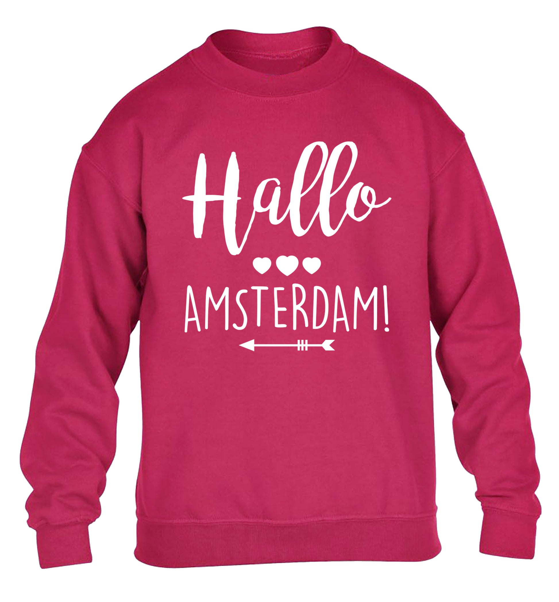 Hallo Amsterdam children's pink sweater 12-13 Years