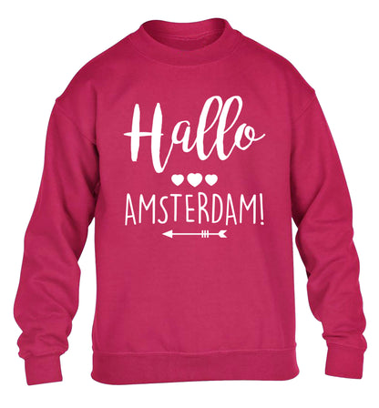 Hallo Amsterdam children's pink sweater 12-13 Years