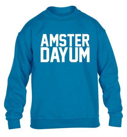 Amsterdayum children's blue sweater 12-13 Years