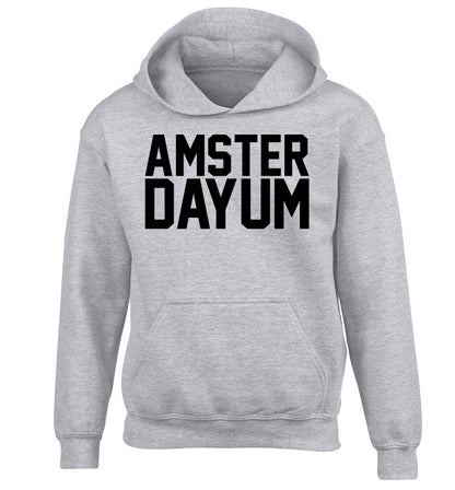 Amsterdayum children's grey hoodie 12-13 Years