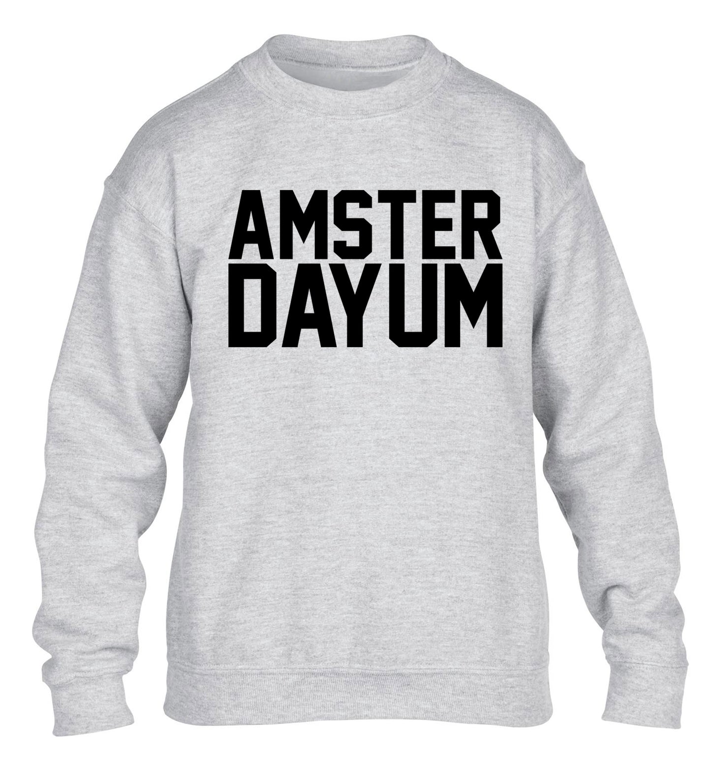 Amsterdayum children's grey sweater 12-13 Years
