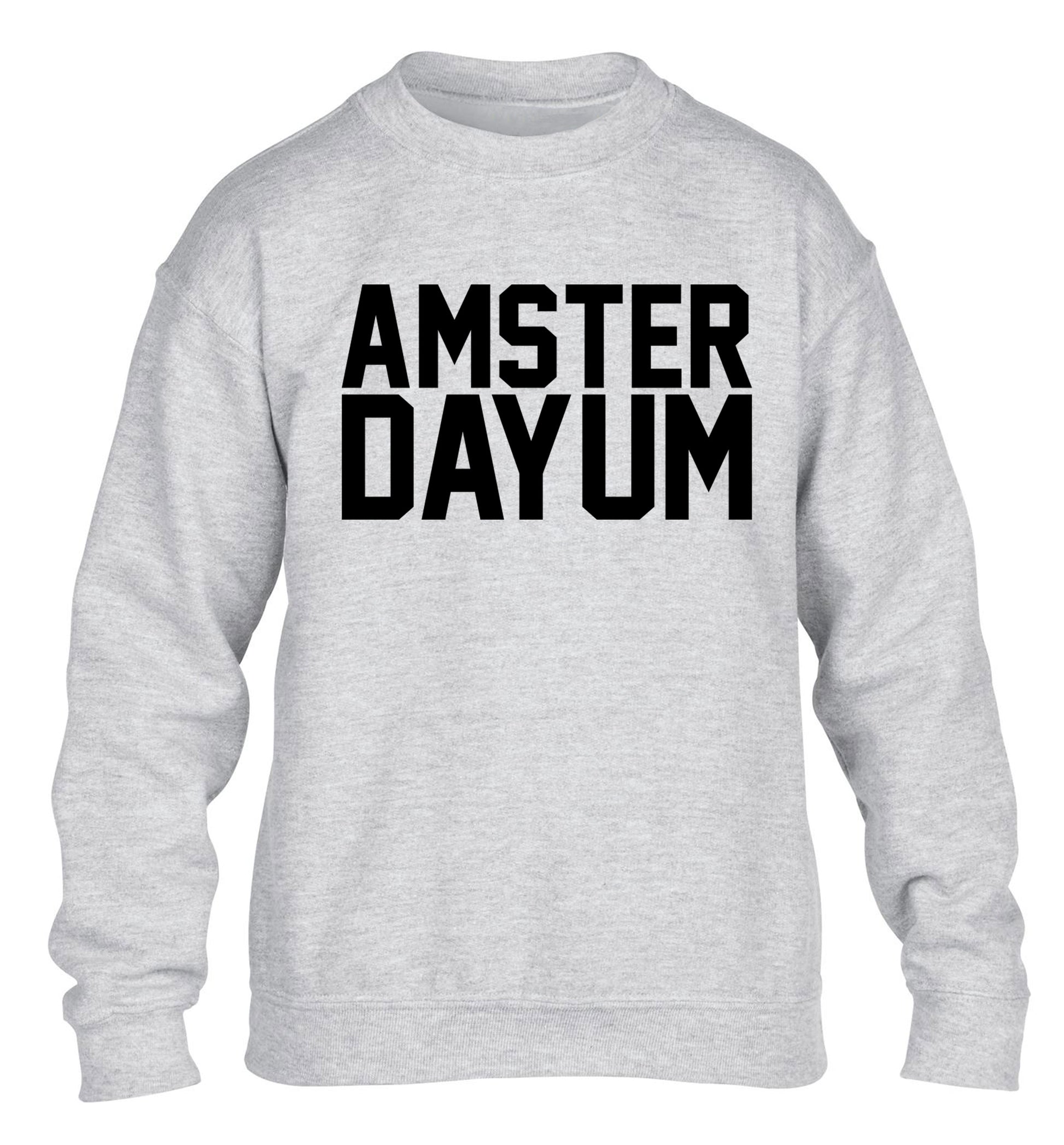 Amsterdayum children's grey sweater 12-13 Years