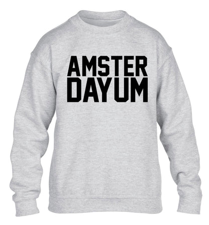 Amsterdayum children's grey sweater 12-13 Years