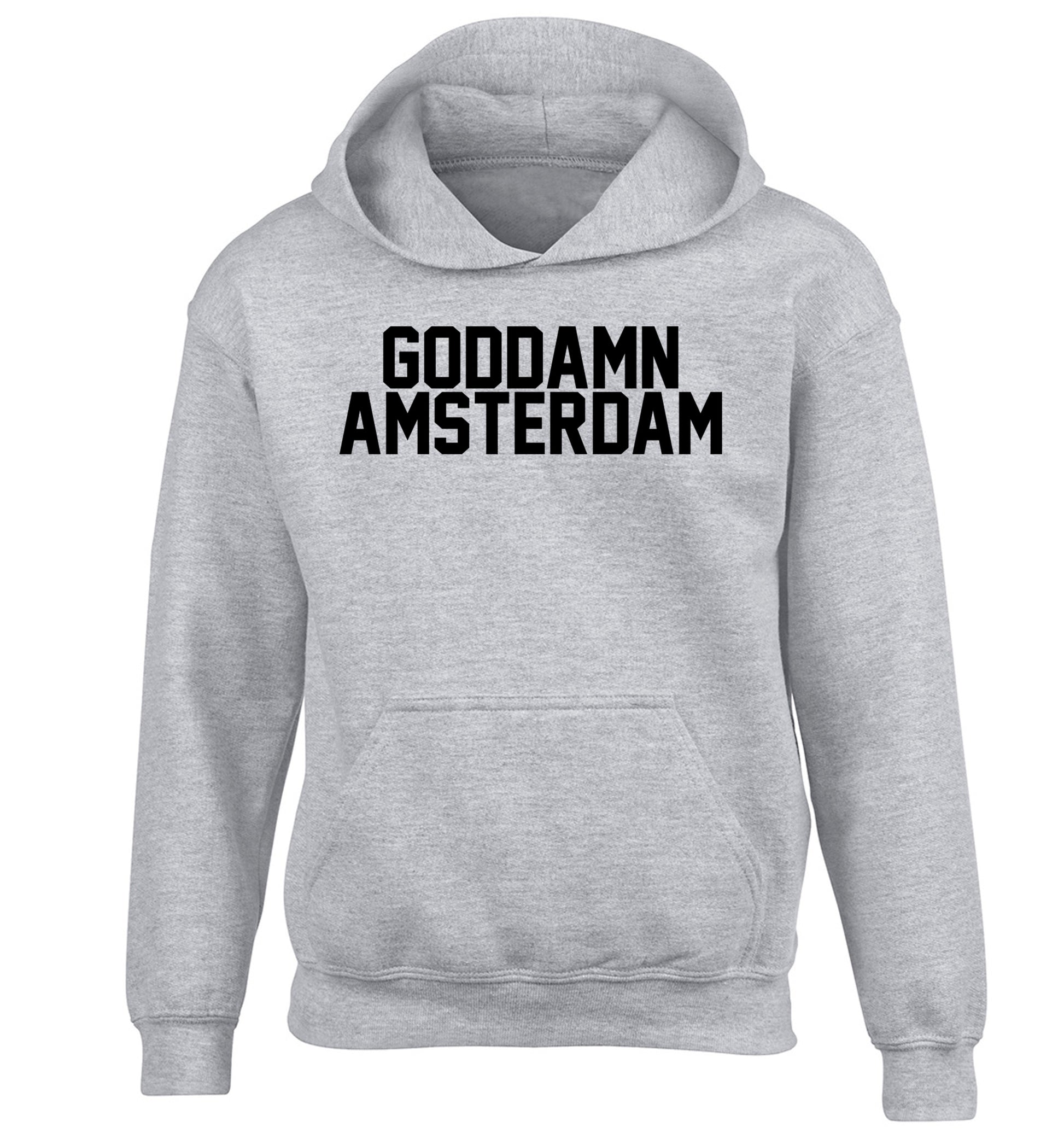 Goddamn Amsterdam children's grey hoodie 12-13 Years