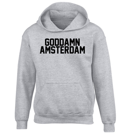 Goddamn Amsterdam children's grey hoodie 12-13 Years