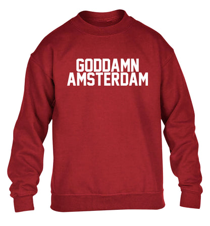 Goddamn Amsterdam children's grey sweater 12-13 Years