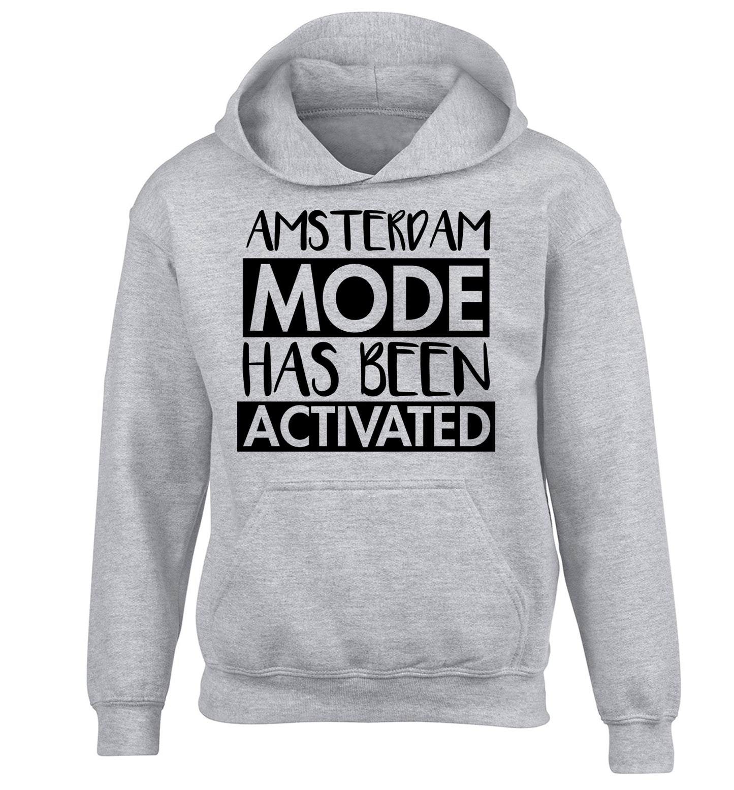Amsterdam mode has been activated children's grey hoodie 12-13 Years