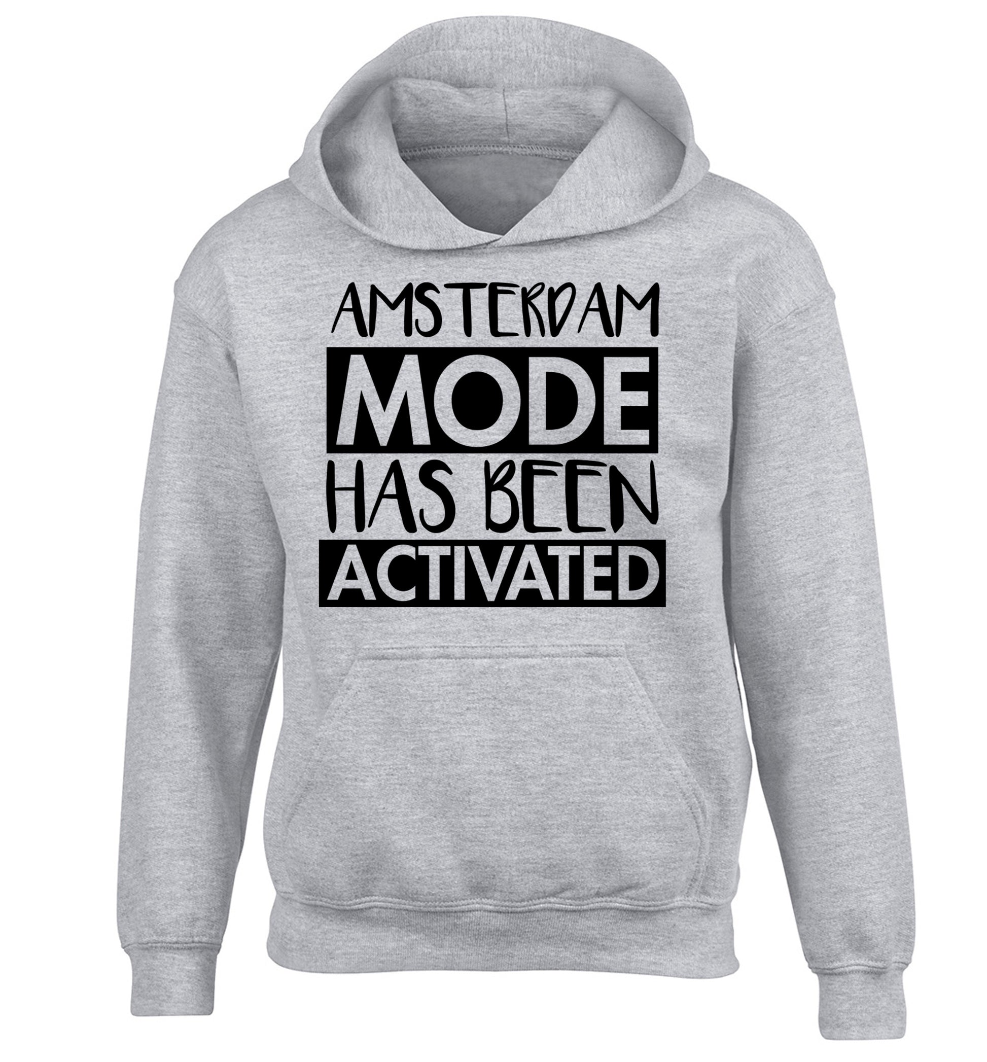 Amsterdam mode has been activated children's grey hoodie 12-13 Years