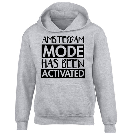 Amsterdam mode has been activated children's grey hoodie 12-13 Years