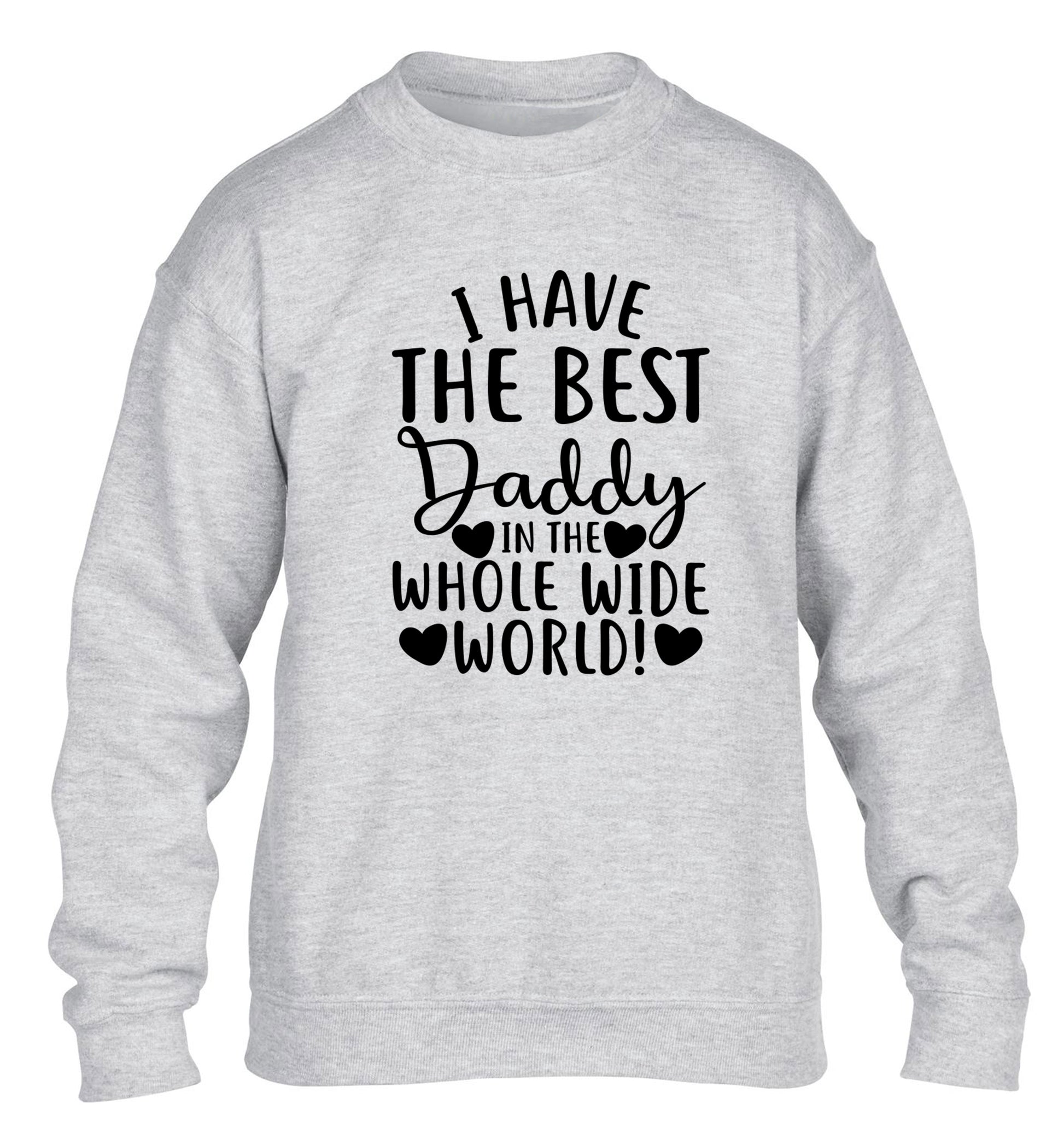 I have the best daddy in the whole wide world children's grey sweater 12-13 Years