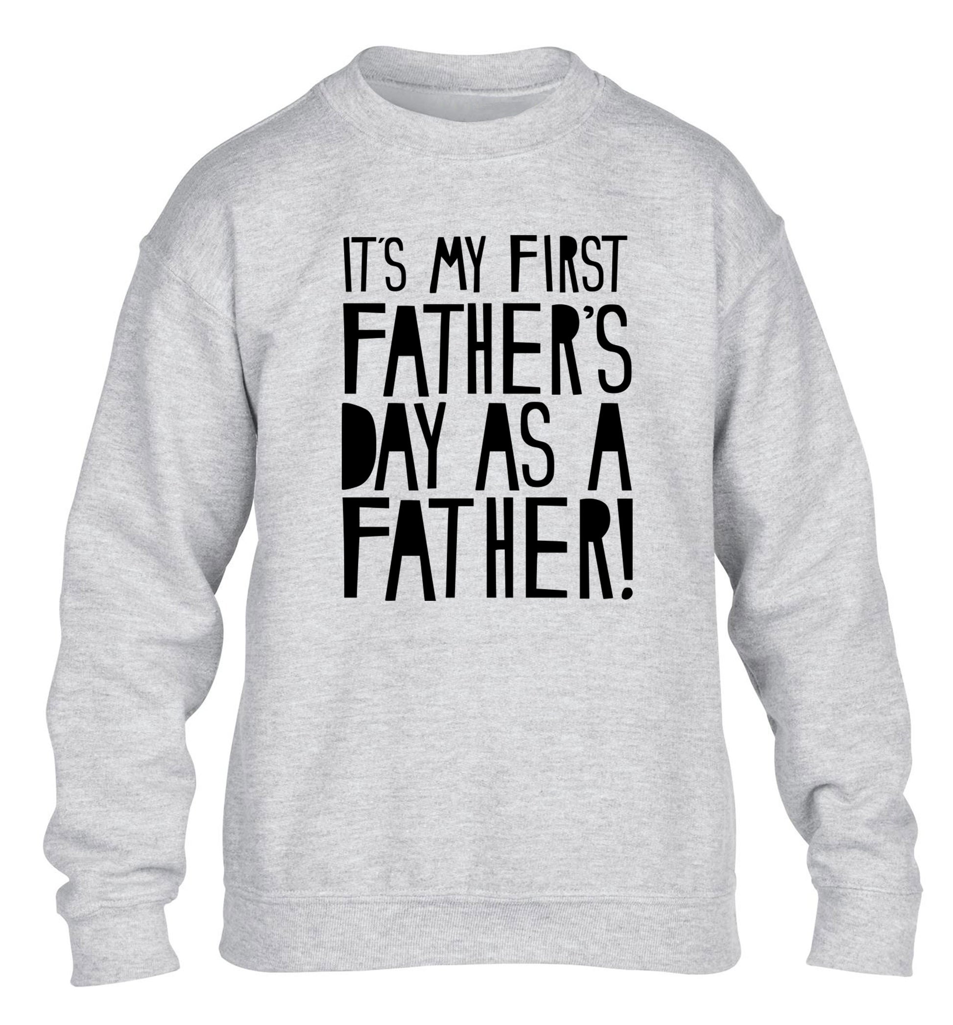 It's my first Father's Day as a father! children's grey sweater 12-13 Years