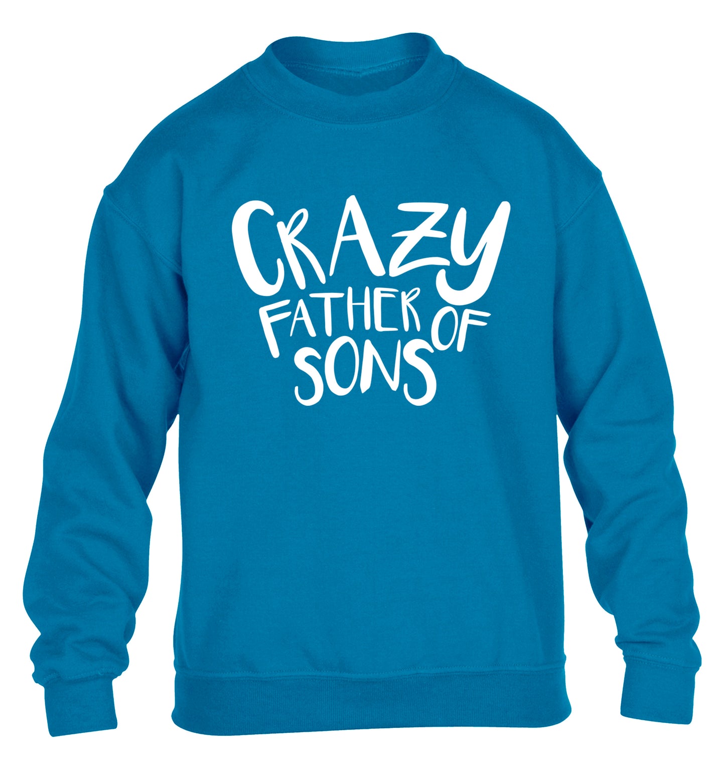 Crazy father of sons children's blue sweater 12-13 Years