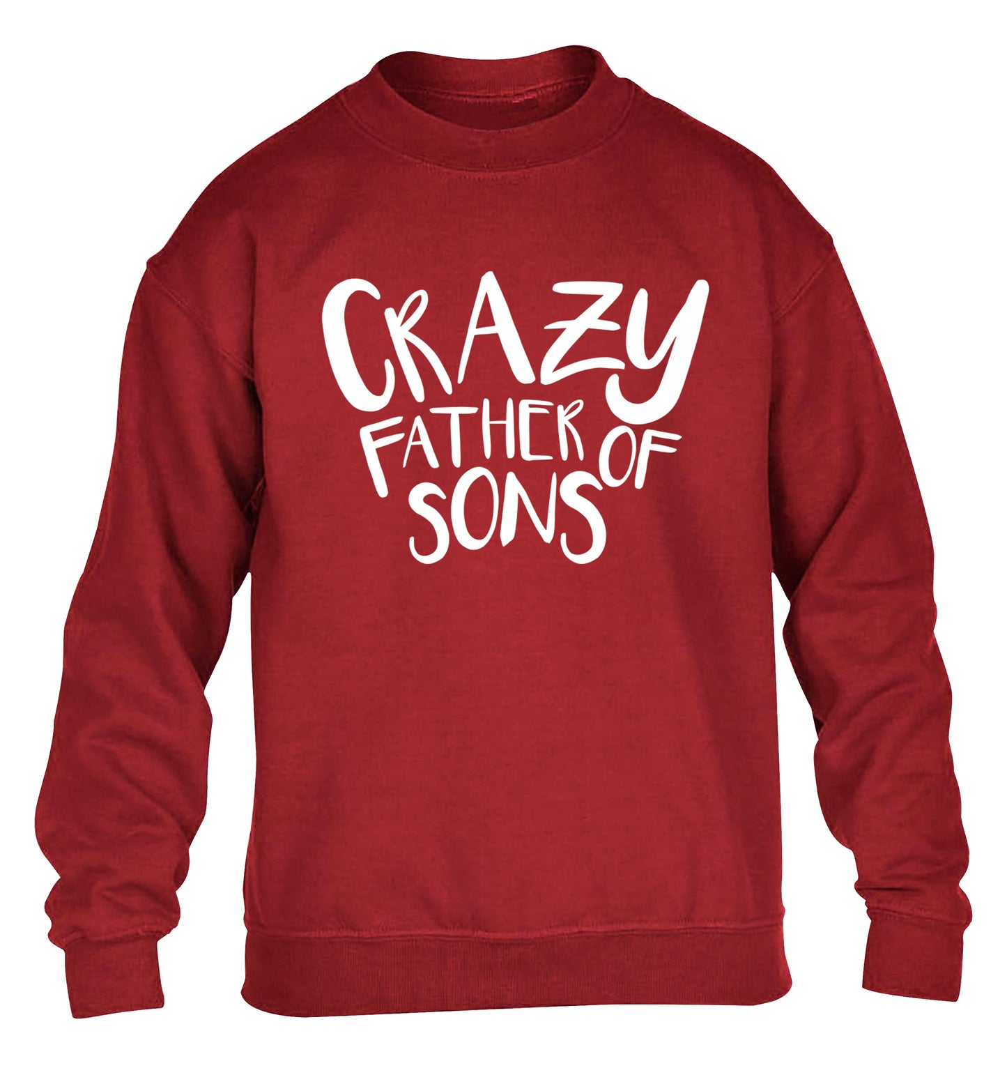Crazy father of sons children's grey sweater 12-13 Years