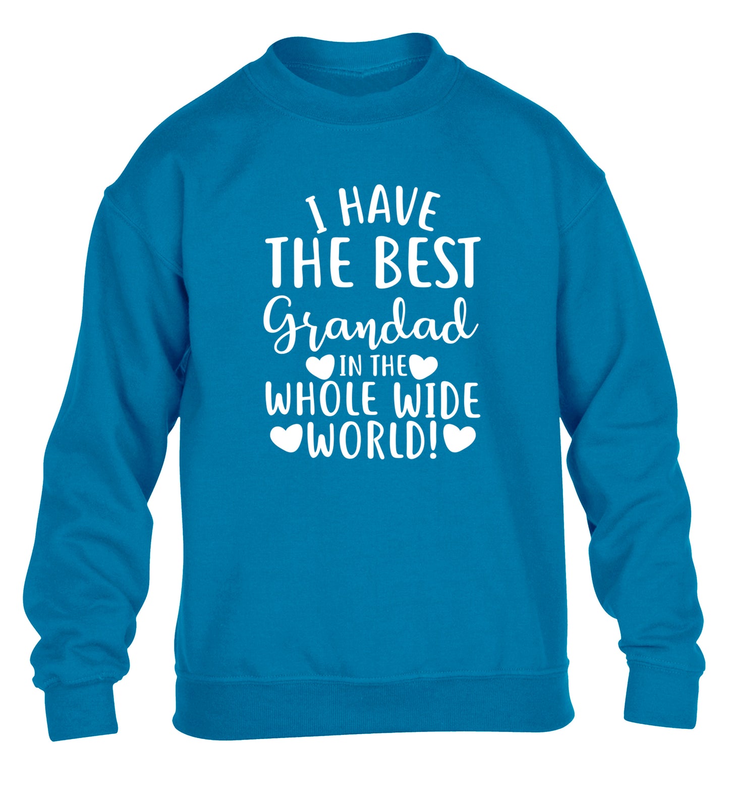 I have the best grandad in the whole wide world! children's blue sweater 12-13 Years