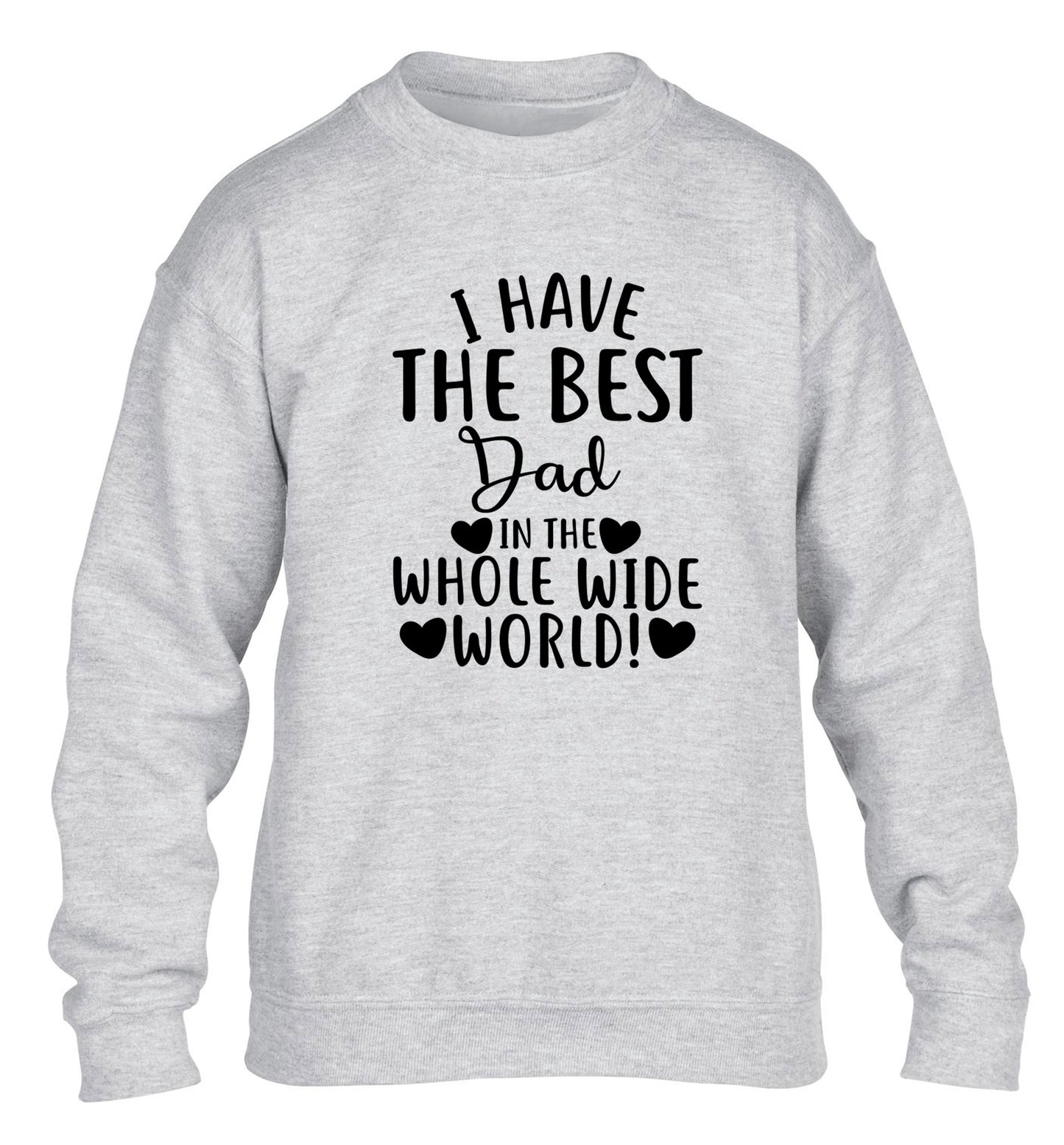 I have the best dad in the whole wide world! children's grey sweater 12-13 Years