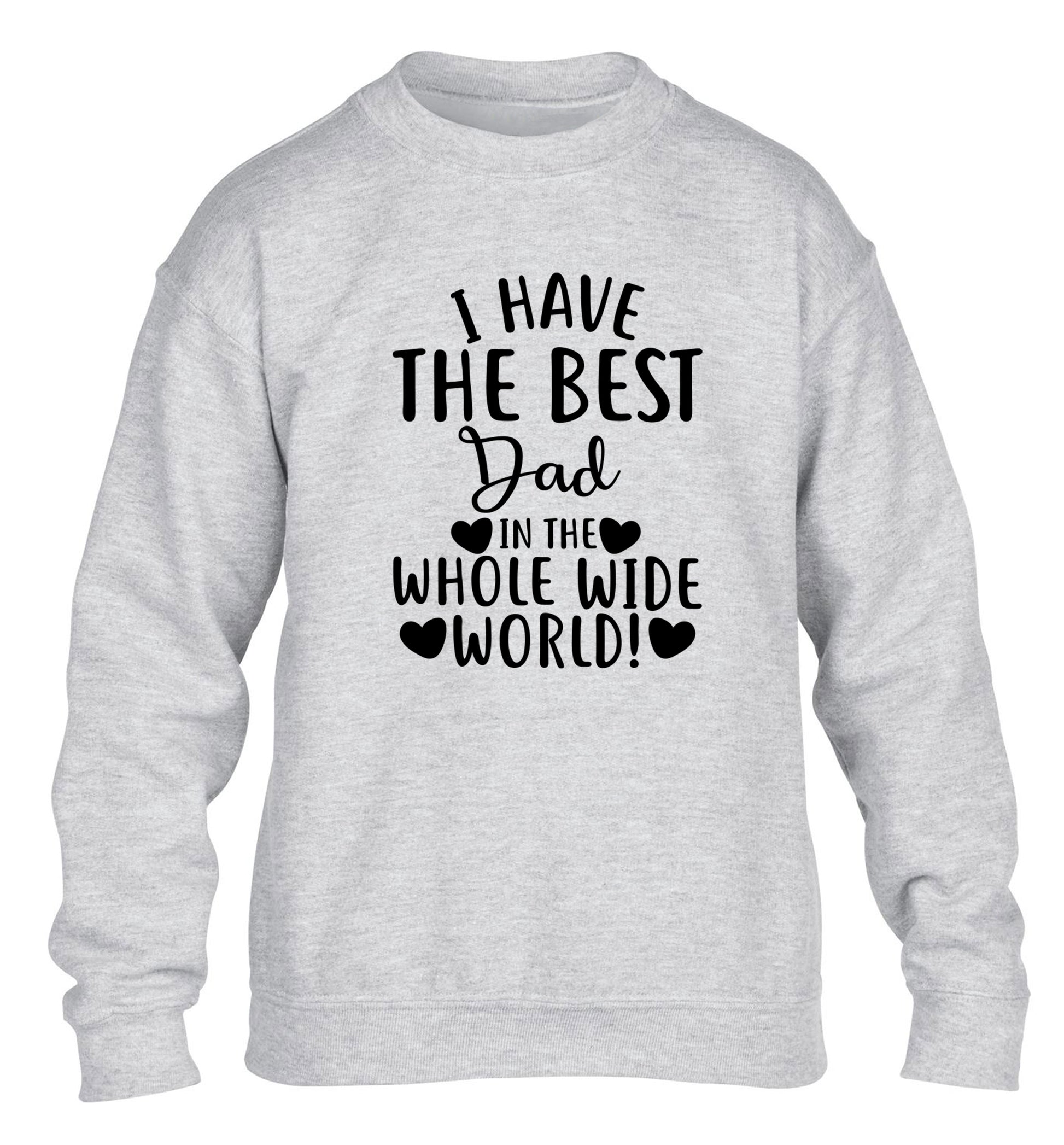 I have the best dad in the whole wide world! children's grey sweater 12-13 Years