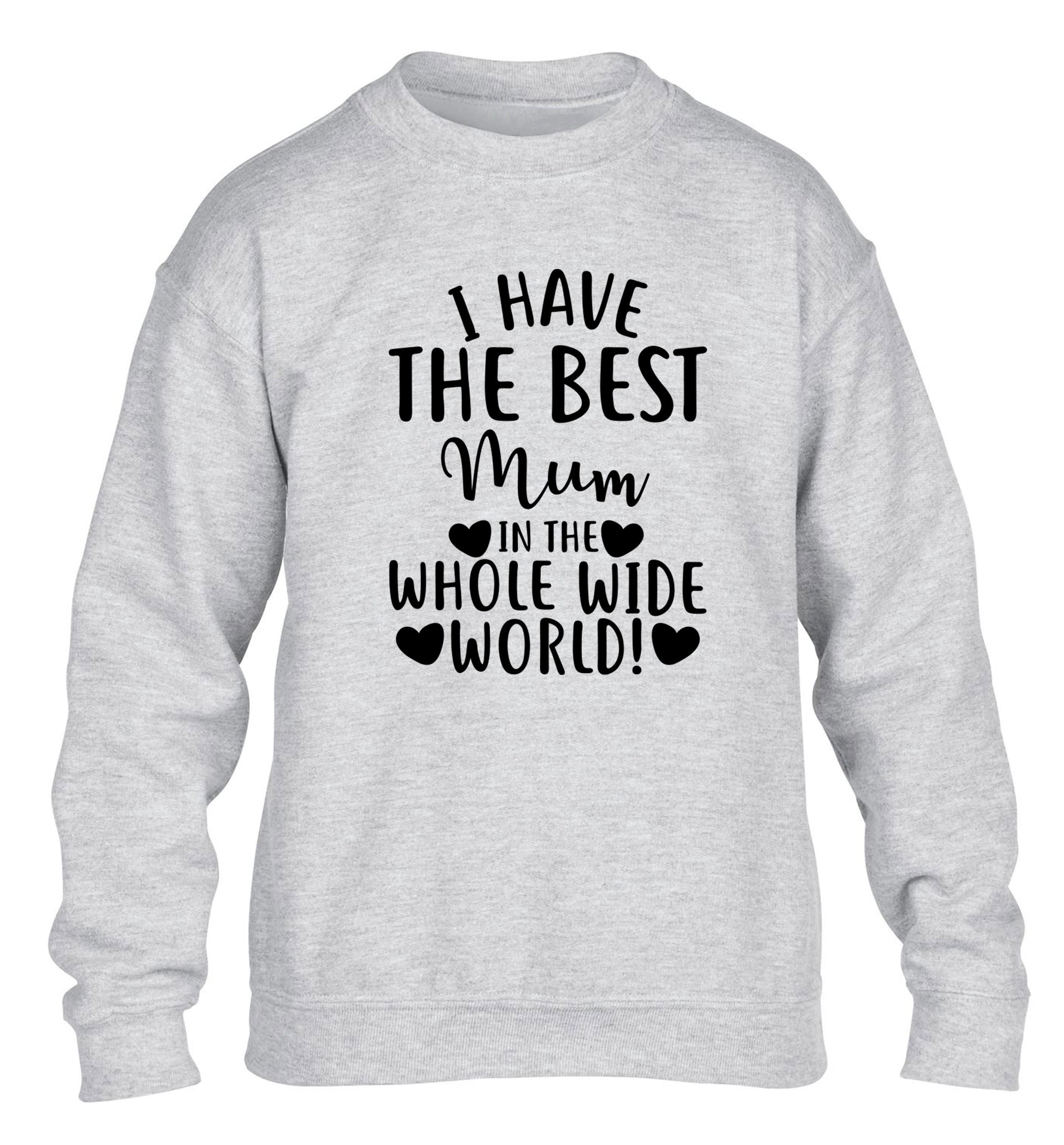I have the best mum in the whole wide world! children's grey sweater 12-13 Years