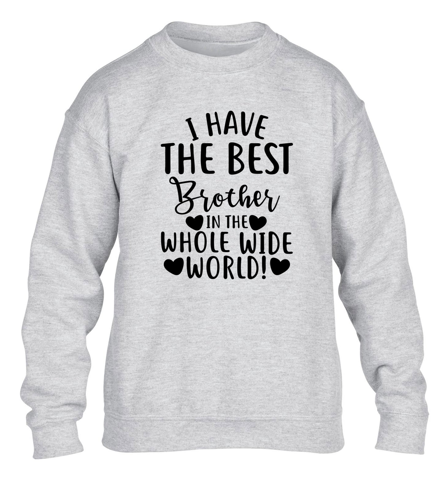 I have the best brother in the whole wide world! children's grey sweater 12-13 Years