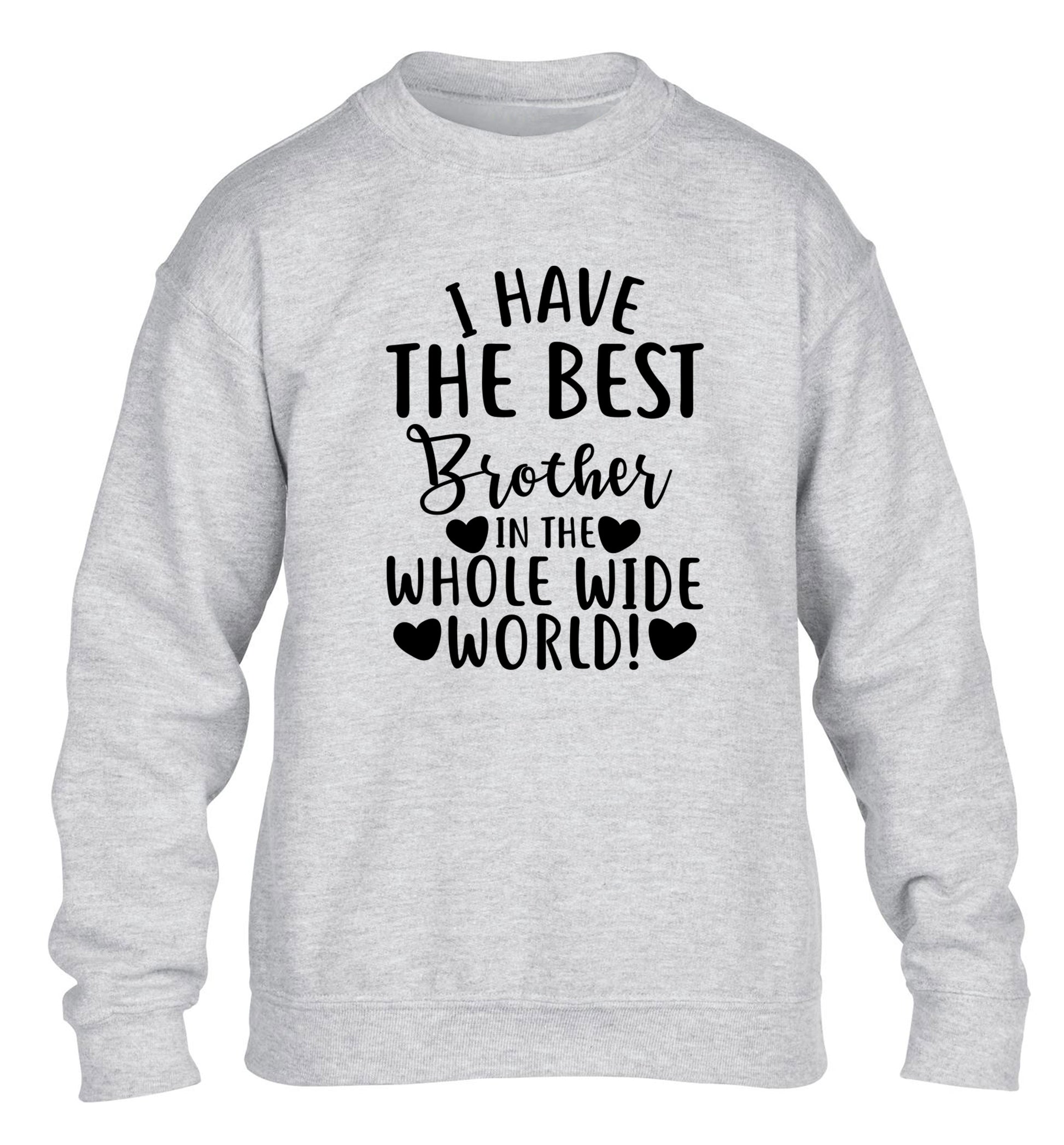 I have the best brother in the whole wide world! children's grey sweater 12-13 Years