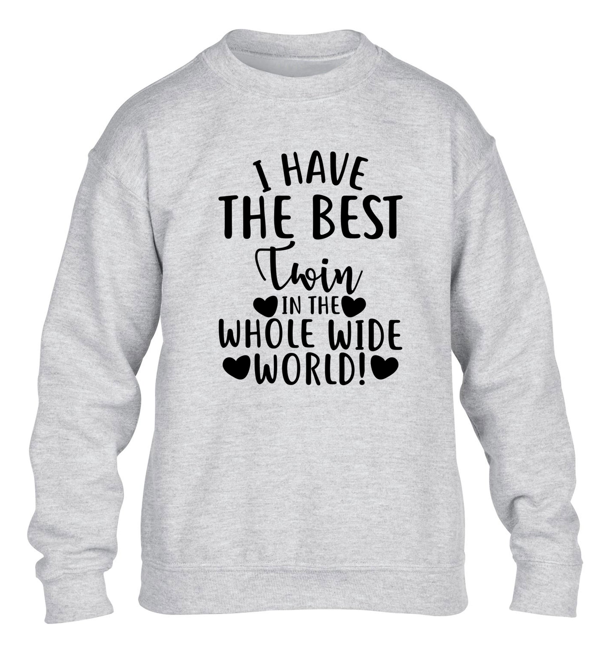 I have the best twin in the whole wide world! children's grey sweater 12-13 Years