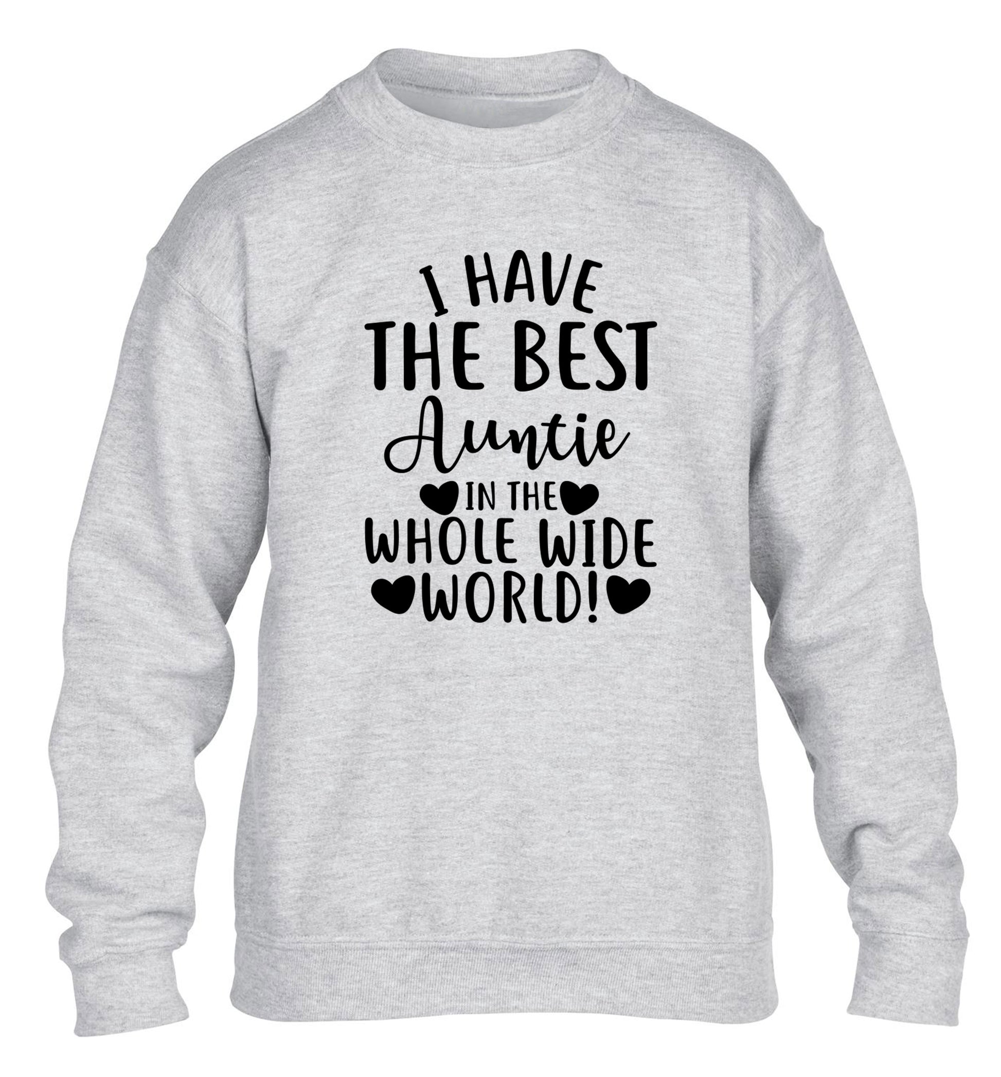 I have the best auntie in the whole wide world! children's grey sweater 12-13 Years