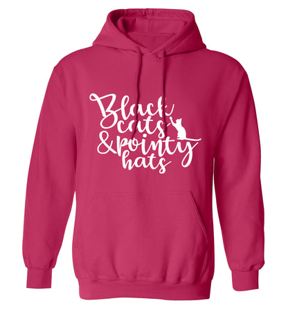 Black cats and pointy hats adults unisex pink hoodie 2XL