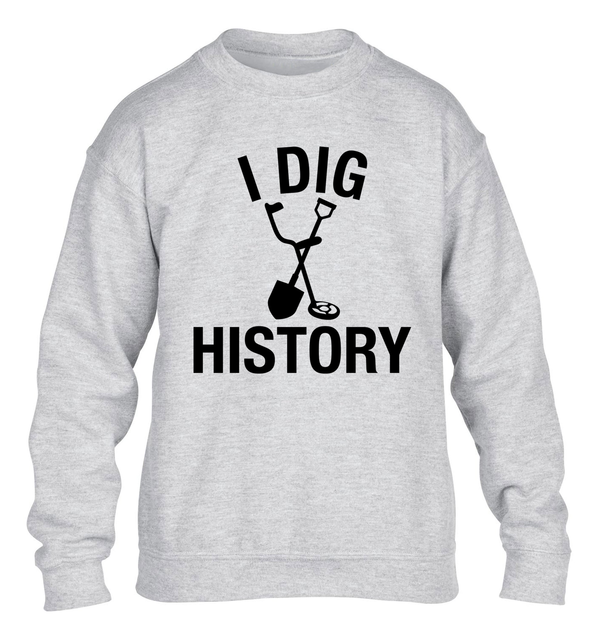 I dig history children's grey sweater 12-13 Years