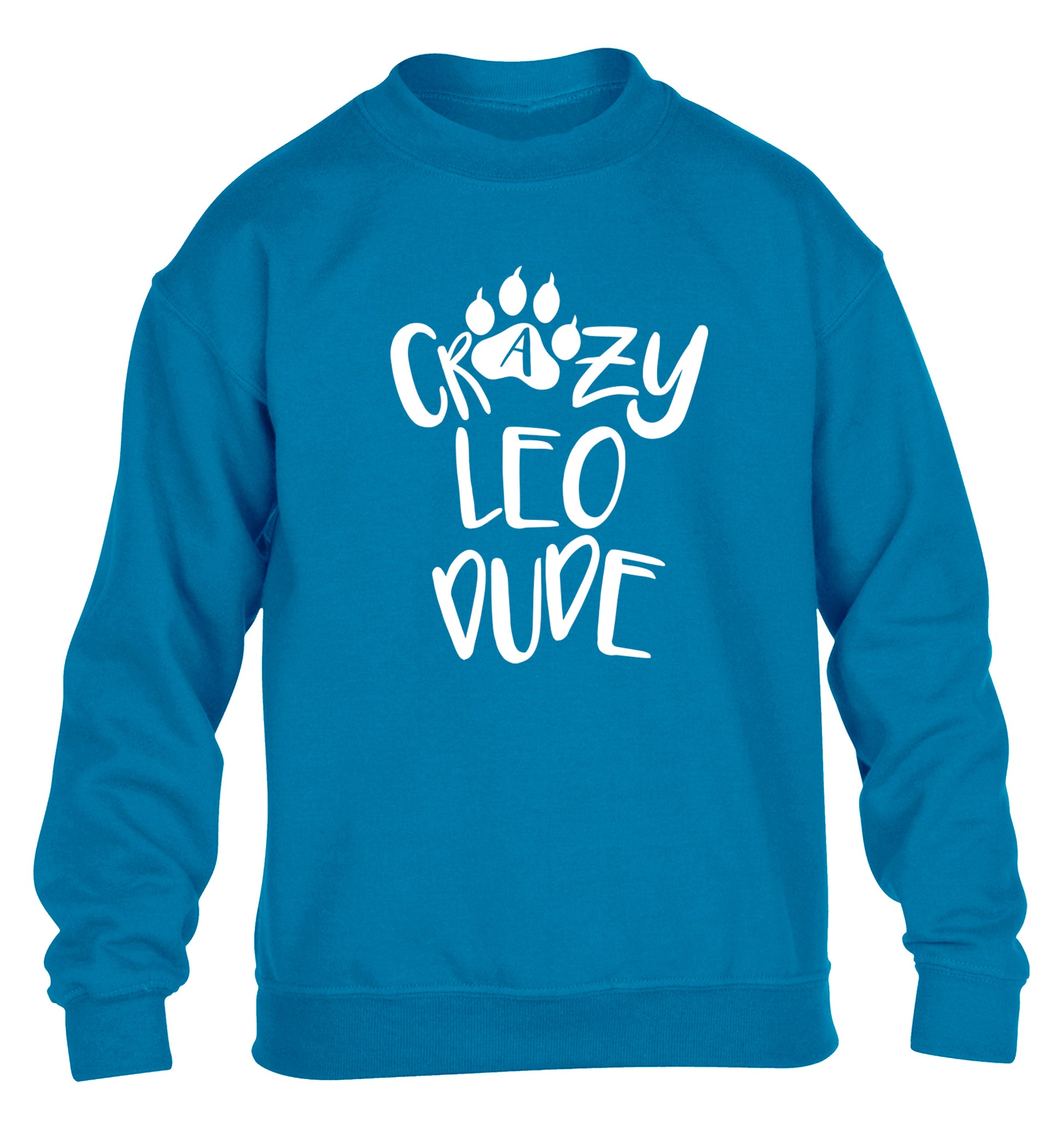 Crazy leo dude children's blue sweater 12-13 Years