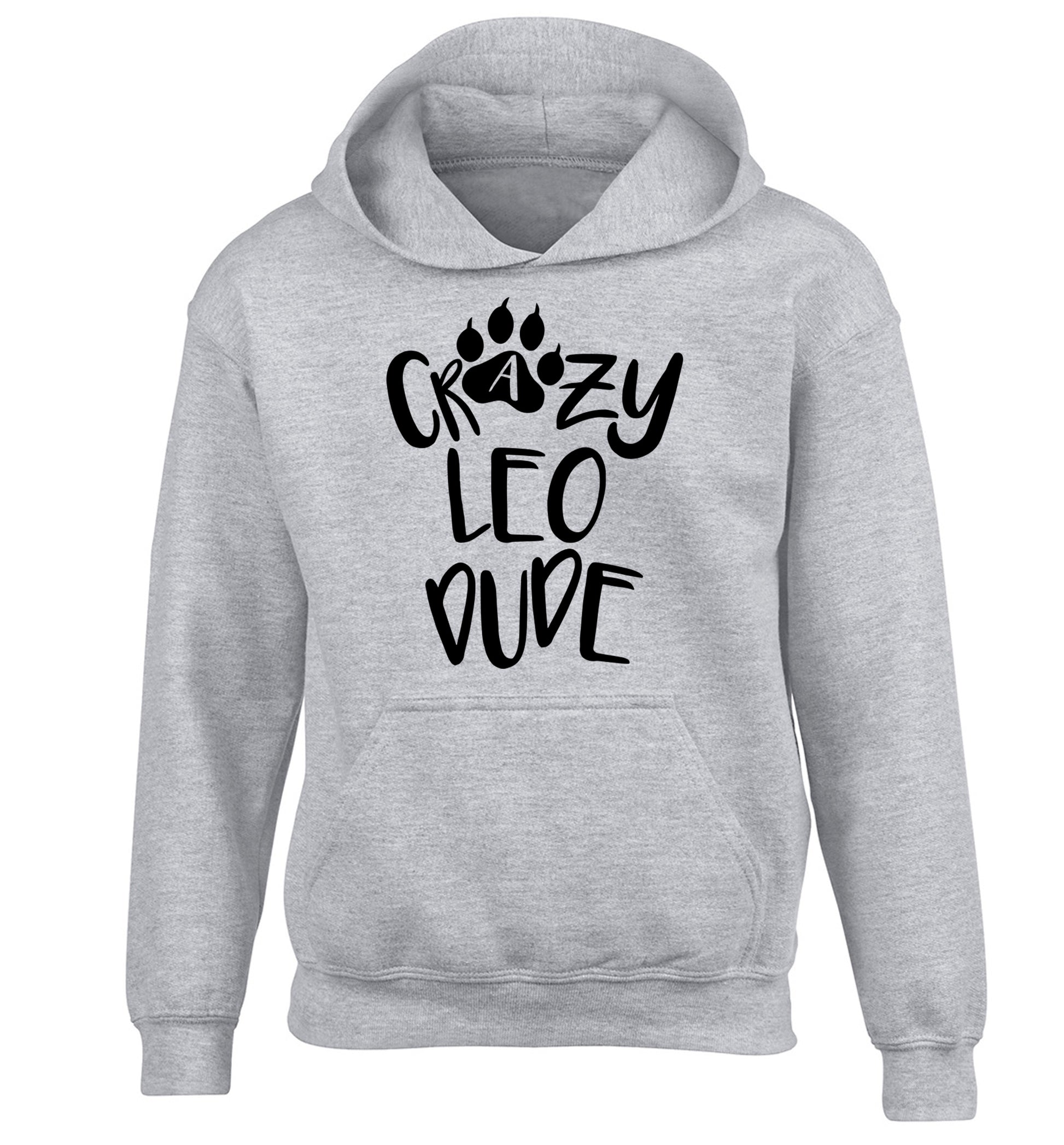 Crazy leo dude children's grey hoodie 12-13 Years