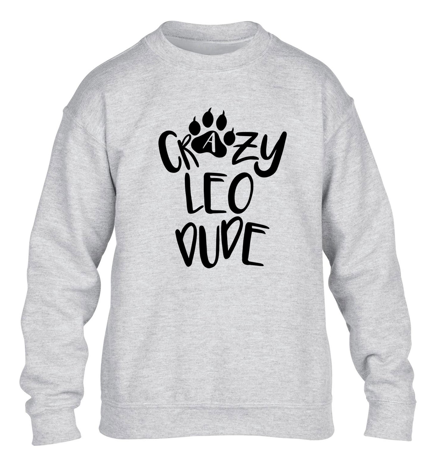 Crazy leo dude children's grey sweater 12-13 Years