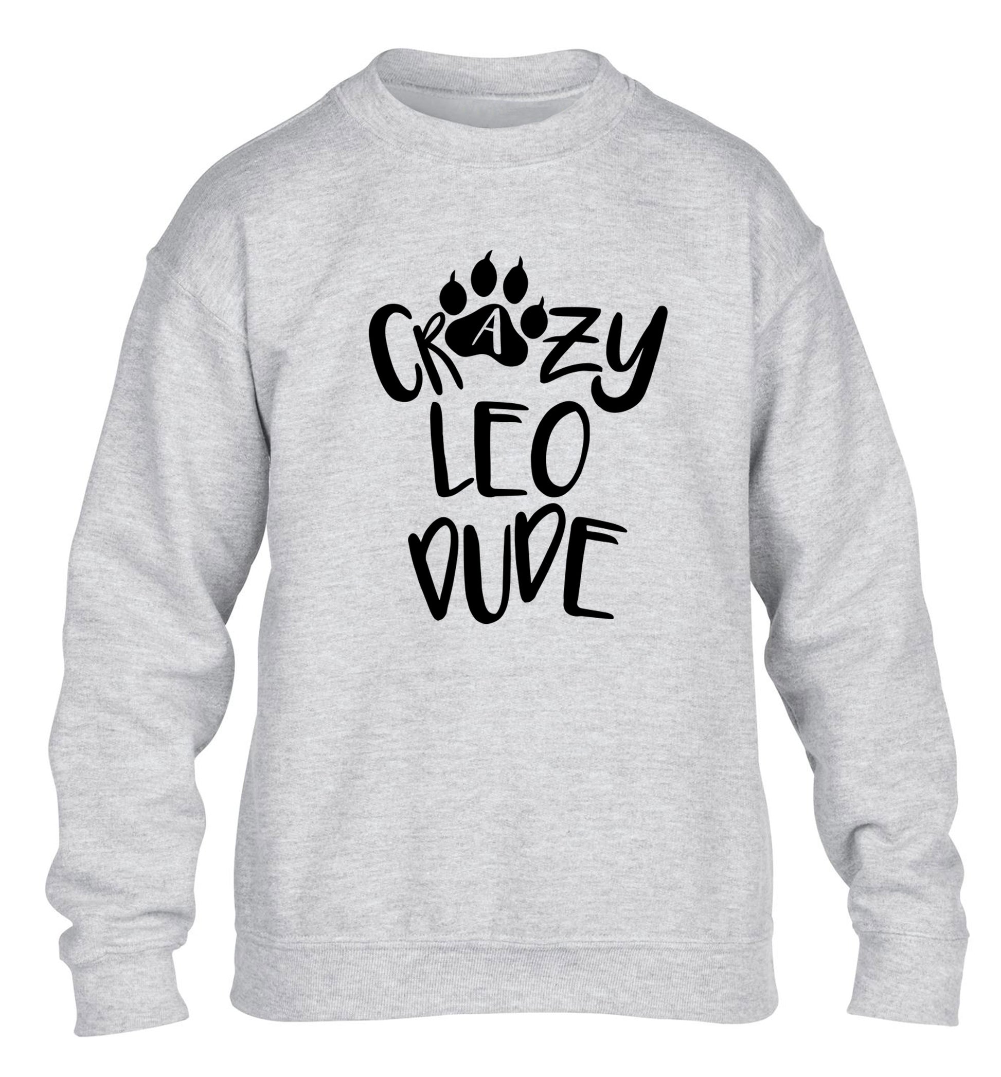 Crazy leo dude children's grey sweater 12-13 Years