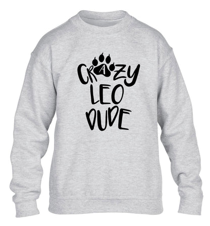 Crazy leo dude children's grey sweater 12-13 Years