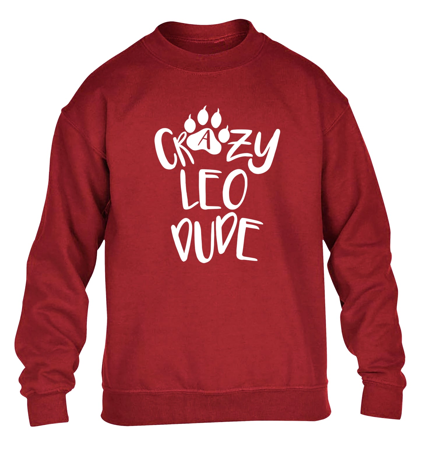 Crazy leo dude children's grey sweater 12-13 Years