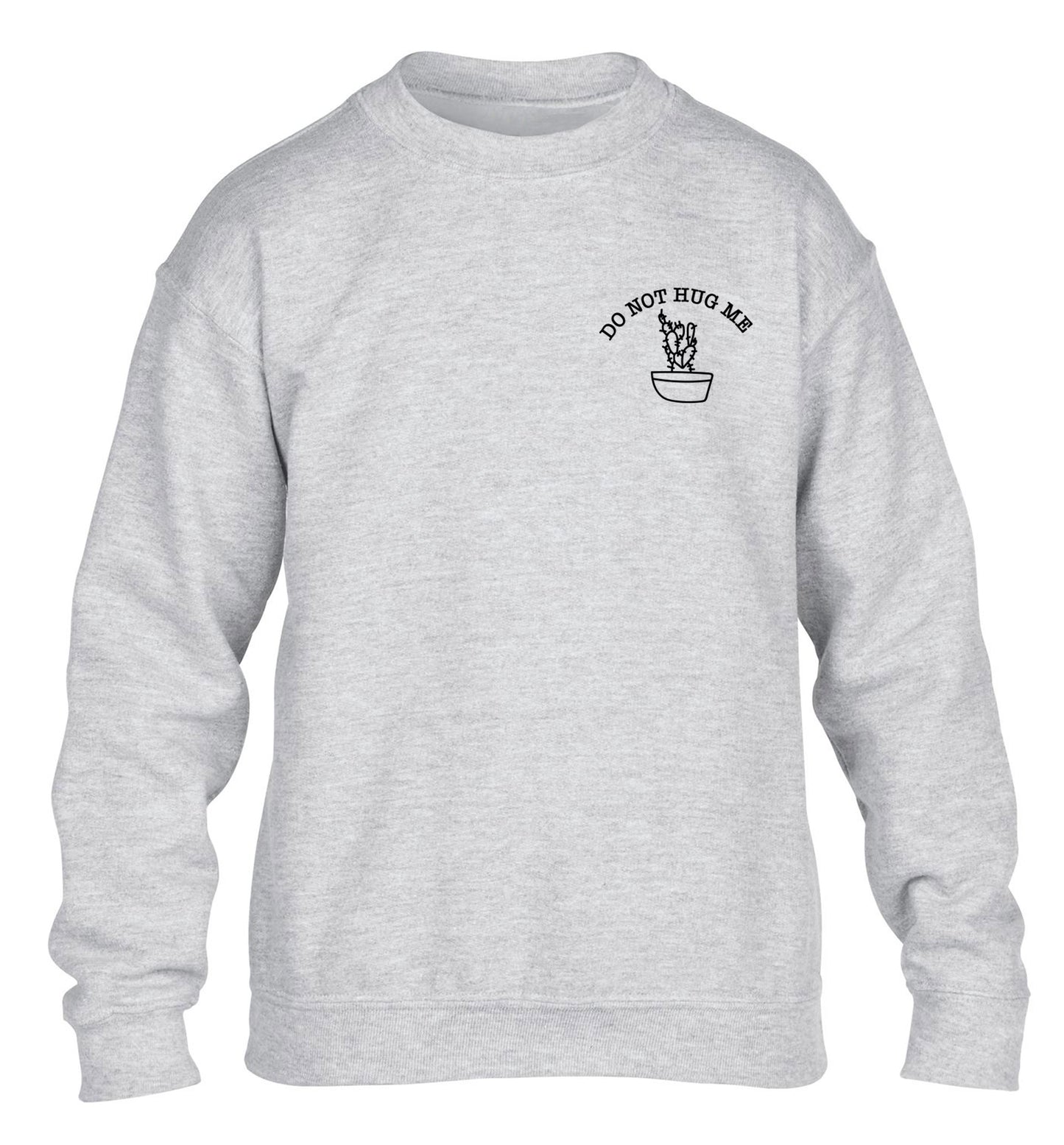 Do not hug me cactus pocket children's grey sweater 12-13 Years