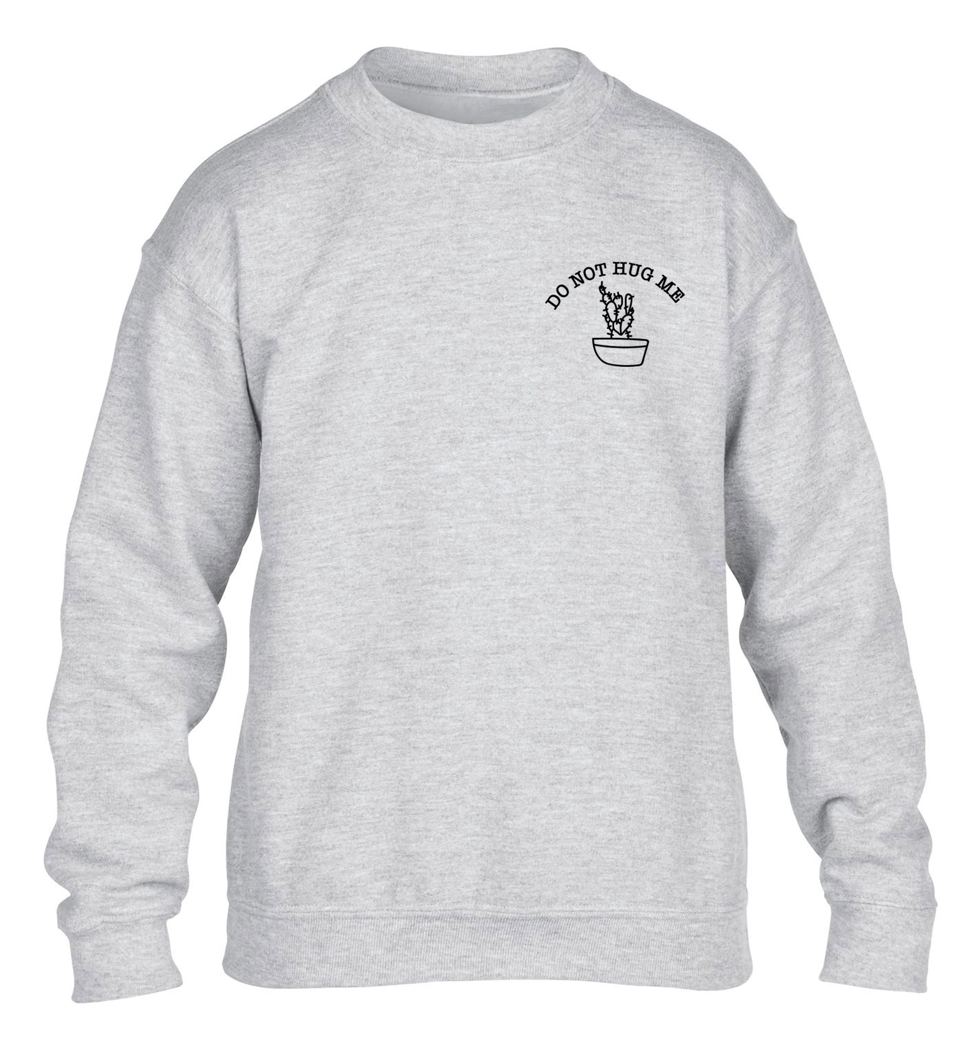 Do not hug me cactus pocket children's grey sweater 12-13 Years