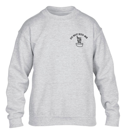 Do not hug me cactus pocket children's grey sweater 12-13 Years