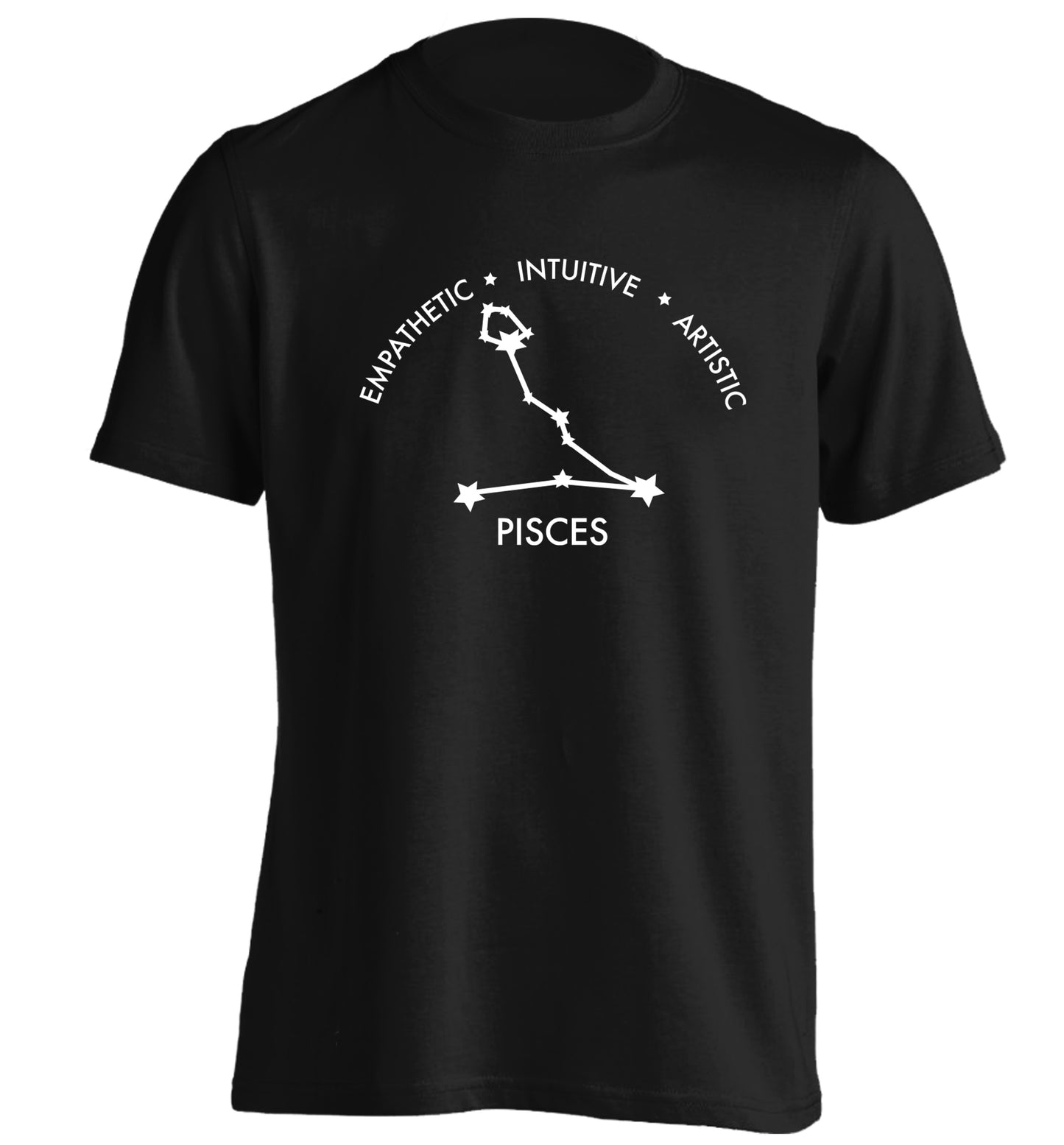 Capricorn: Ambitious | Patient | Gracious adults unisex black Tshirt 2XL