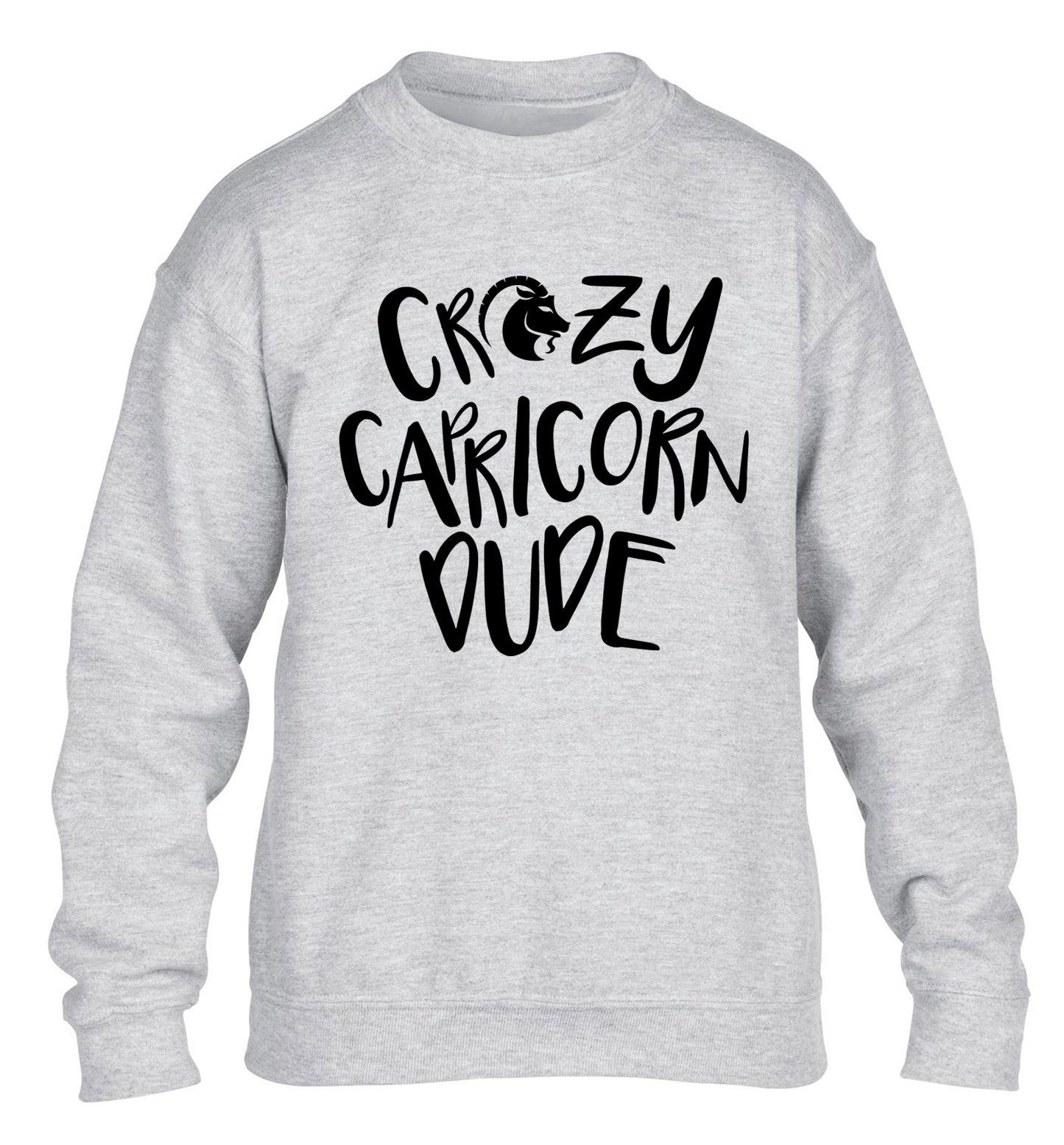 Crazy capricorn dude children's grey sweater 12-13 Years