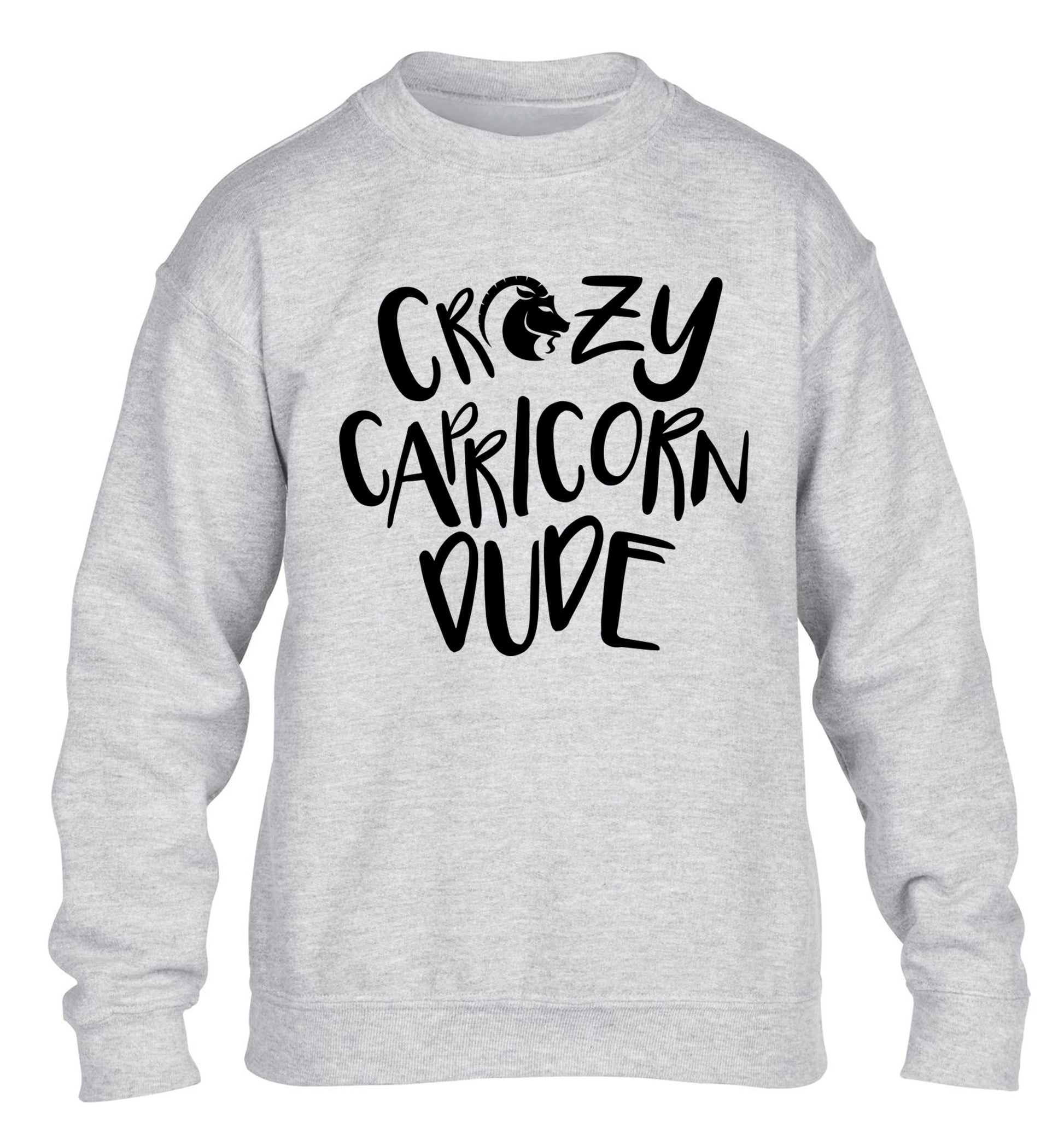 Crazy capricorn dude children's grey sweater 12-13 Years