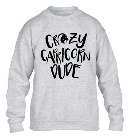 Crazy capricorn dude children's grey sweater 12-13 Years