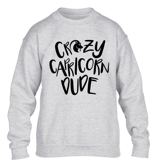 Crazy capricorn dude children's grey sweater 12-13 Years