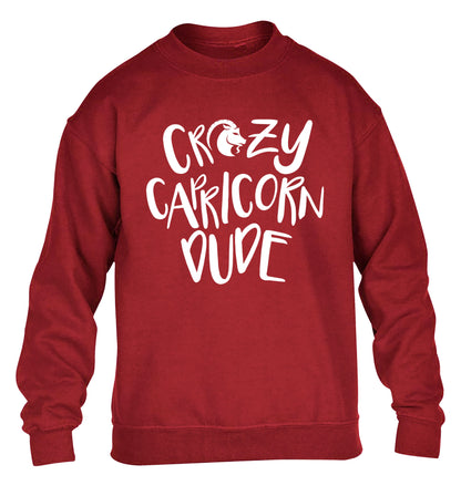 Crazy capricorn dude children's grey sweater 12-13 Years