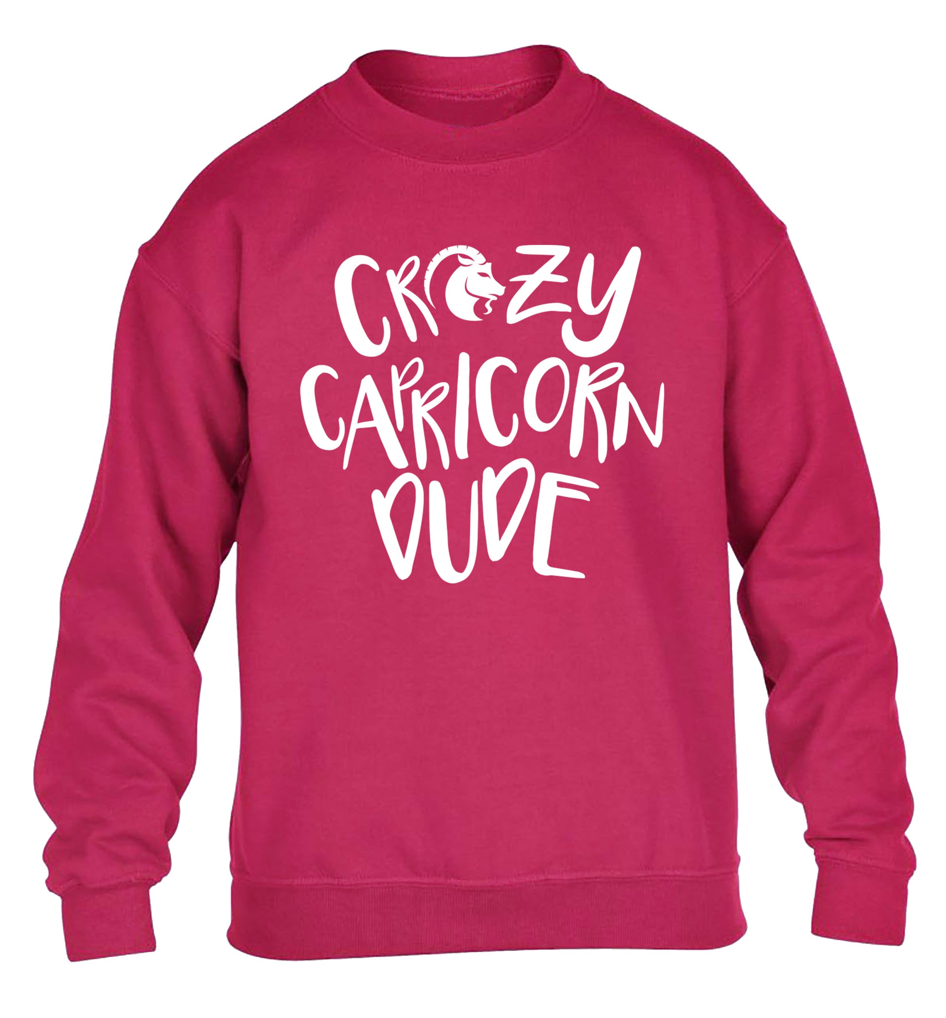 Crazy capricorn dude children's pink sweater 12-13 Years
