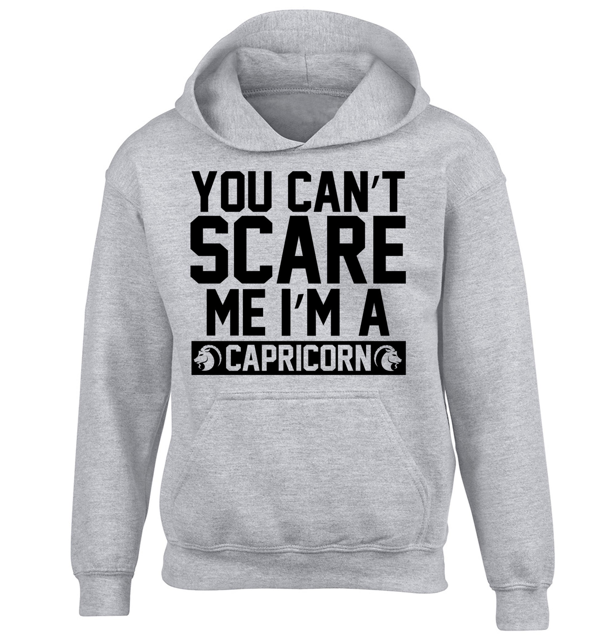You can't scare me I'm a capricorn children's grey hoodie 12-13 Years