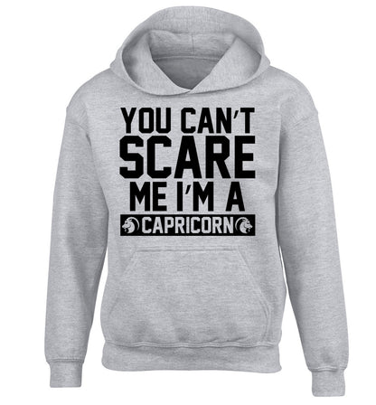You can't scare me I'm a capricorn children's grey hoodie 12-13 Years