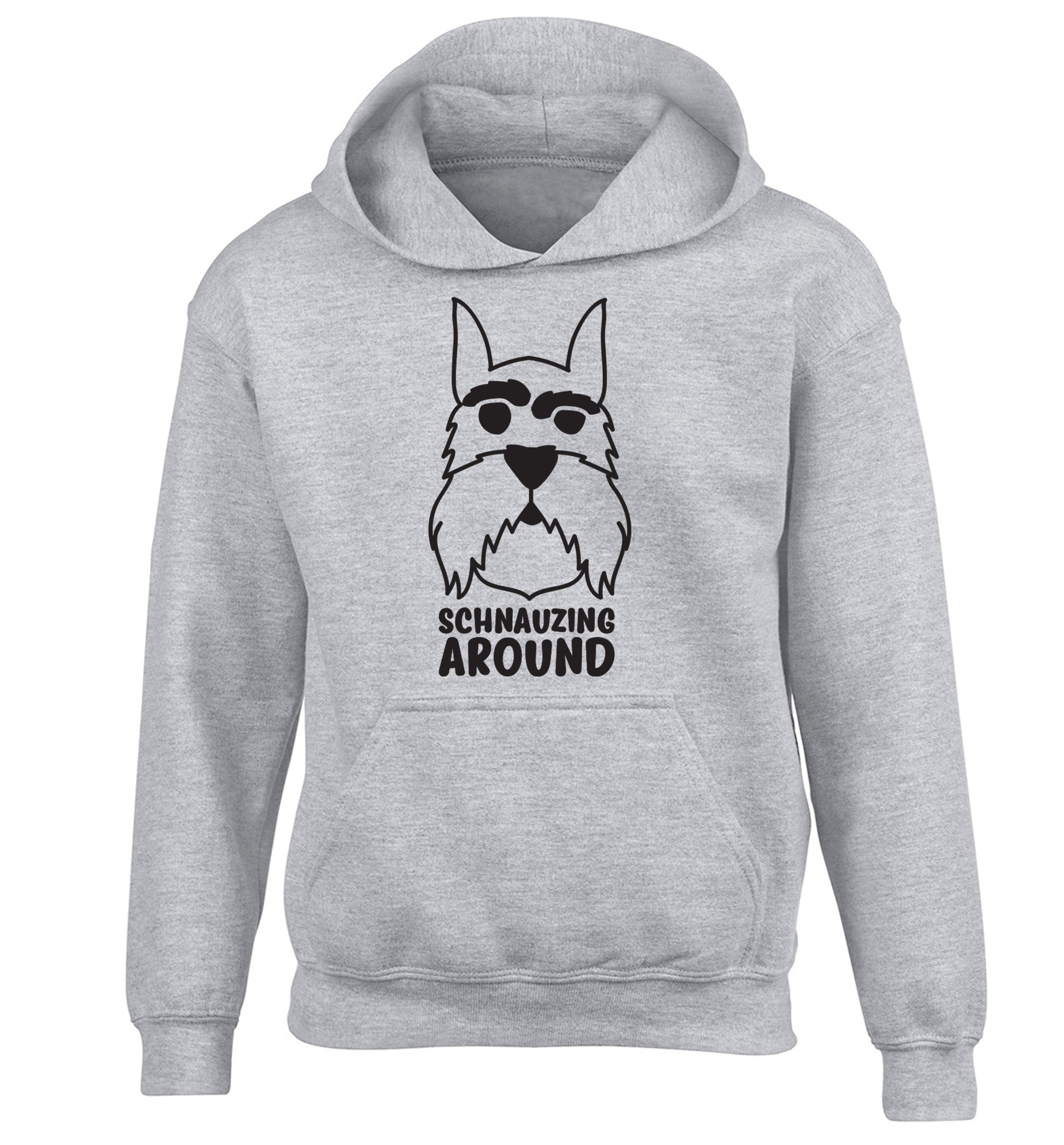 Schnauzing Around children's grey hoodie 12-13 Years