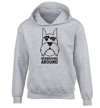 Schnauzing Around children's grey hoodie 12-13 Years
