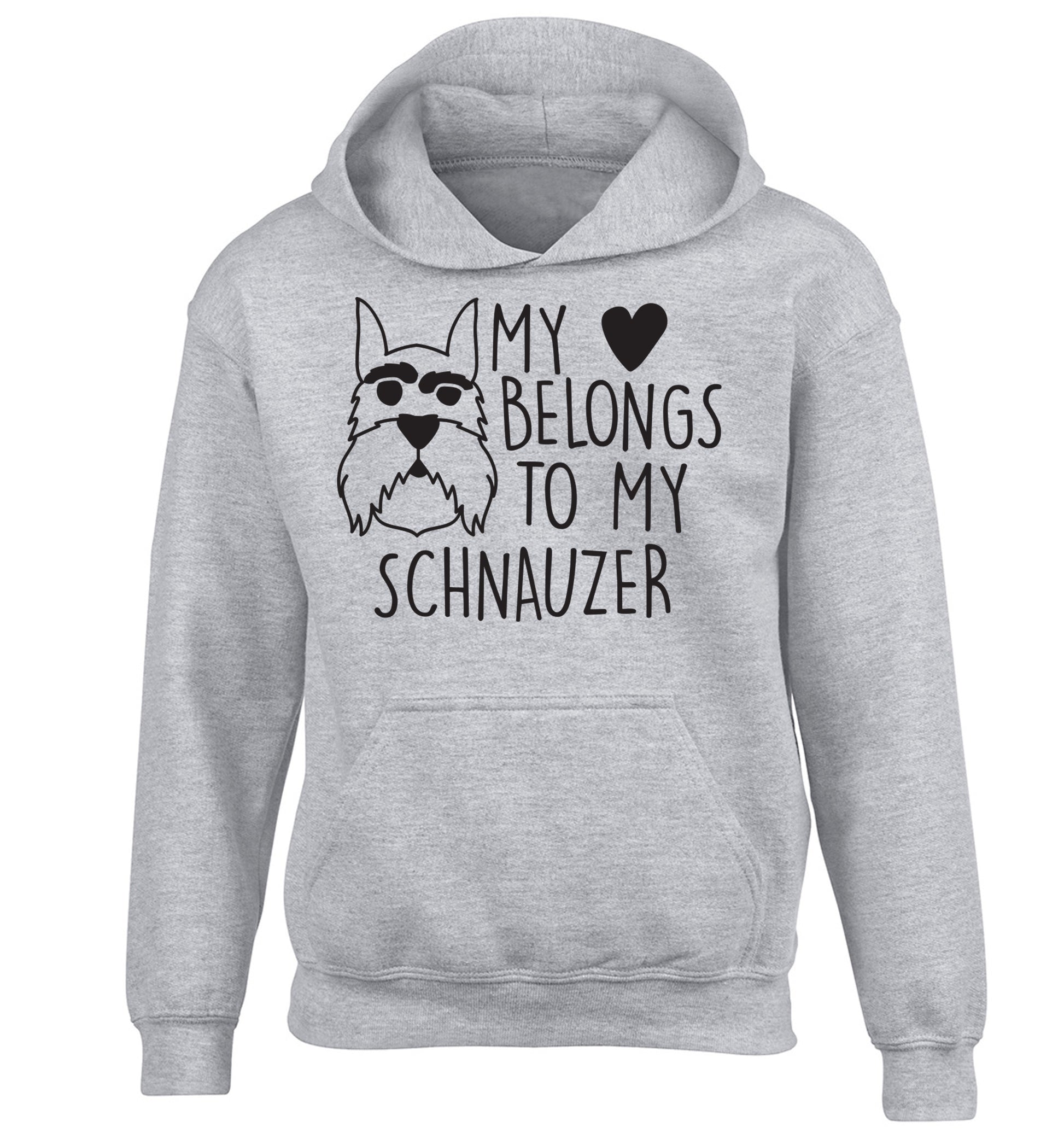 My heart belongs to my schnauzer children's grey hoodie 12-13 Years