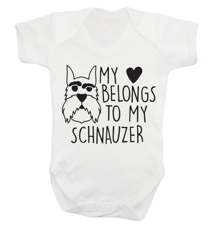 My heart belongs to my schnauzer Baby Vest white 18-24 months